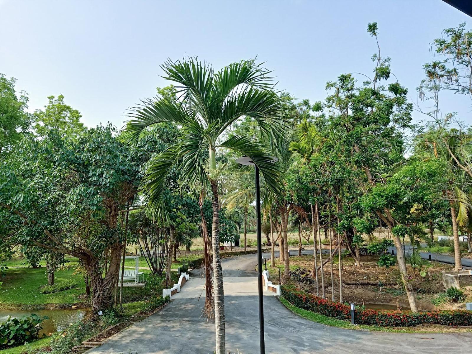 Nan Bluesky Resort And Spa Exterior foto